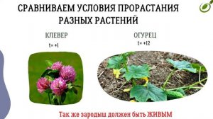 Л.3 | Изучение биологических систем и процессов | ОБЩАЯ БИОЛОГИЯ ЕГЭ