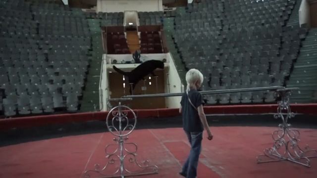 6. ЦИРК. Репетиция кошек. Жизнь артистов цирка. CIRCUS LIFE. Behind the scenes of circus. смотреть онлайн