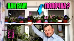 ВОЛШЕБНАЯ ПОЛОЧКА ДЛЯ ЭКЗОТИКИ И КОМНАТНЫХ РАСТЕНИЙ СВОИМИ РУКАМИ. ЭКЗОТИКА НА ПОДОКОННИКЕ 22-19