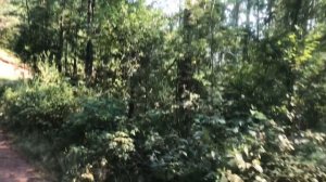 Озеро Хепоярви - Токсово