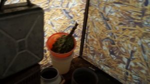 БАНЯ на ПРИРОДЕ, МОРОЗНОЕ УТРО.