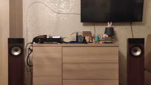 Fyne Audio F302 + Rega Elex-R + IFI Zen DAC V2 - 28.01.2023