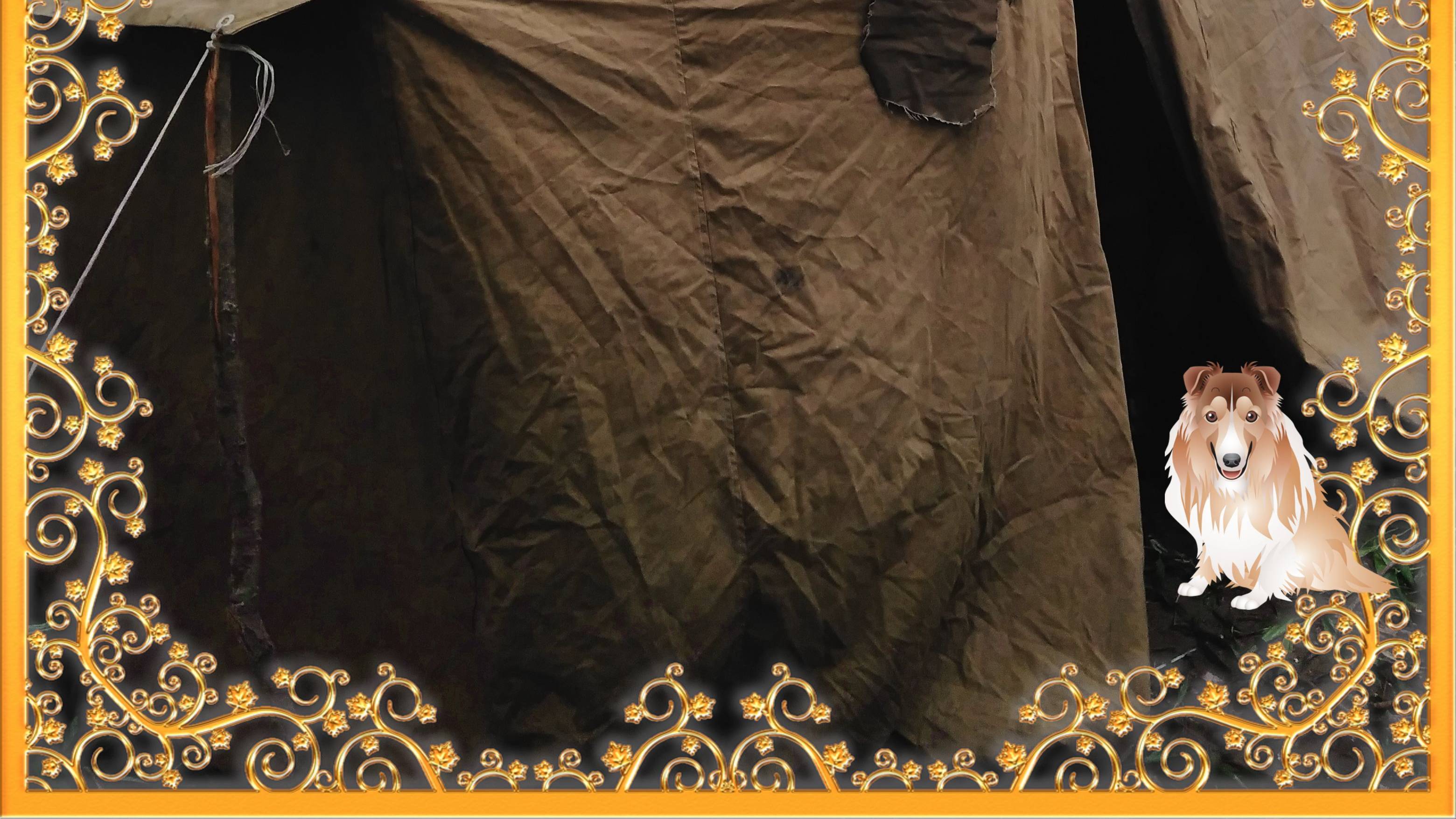 РЫБАЛКАОХОТАОТДЫХ СЕНТЯБРЬ 2024 ЖИЗНЬ В ПАЛАТКЕ