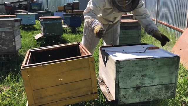 Пасека в замедленной сьемке