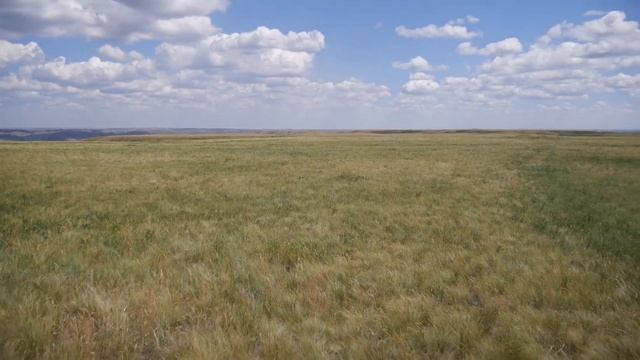 Урочище Чертово Городище Городьбище смотреть онлайн