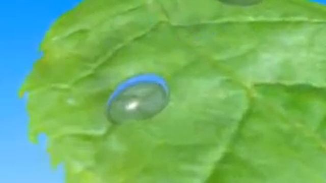 3 фотосинтез смотреть онлайн