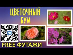 Футажи Красивые цветы для фона и проектов и видео-подарка