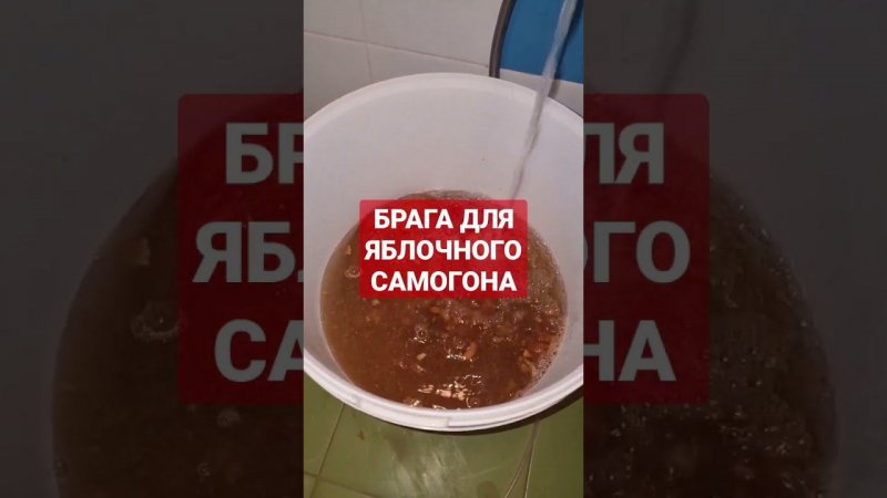 ЯБЛОЧНЫЙ САМОГОН ИЗ ЖМЫХА - БРАГА ИЗ ЖМЫХА ОТ КАЛЬВАДОСА Самогон из яблок Что делать со жмыхом яблок