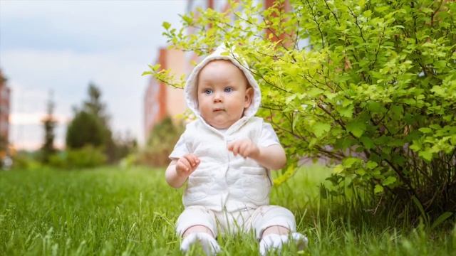 Приключения маленького гномика смотреть онлайн