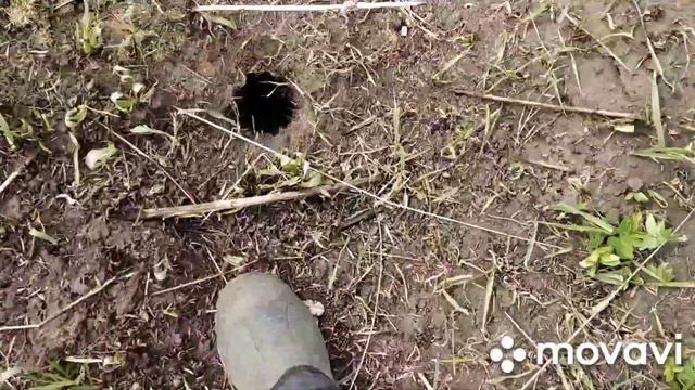 Влог. Наша жизнь без прикрас.  Как хорошо,  когда есть друзья. смотреть онлайн