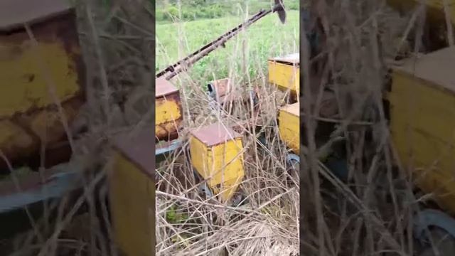 Сеялка СУПН-8 экспресс-обзор от Виталия Белоглазова