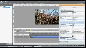 Как удалить звук из видеозаписи в VS DC Free Video Editor