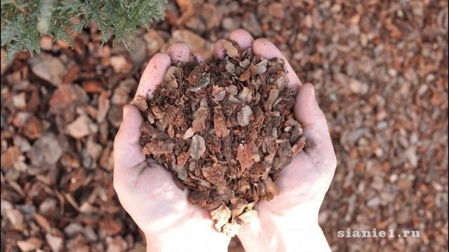 Приствольный круг смотреть онлайн