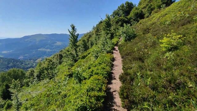 le Gaschneykopf droit devant ! vue magnifique depuis le petit Hohneck смотреть онлайн