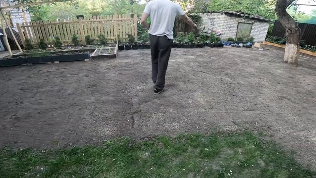 Подготовка земли и посадка газонной травы своими руками смотреть онлайн