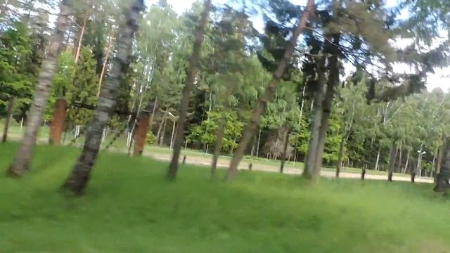 Приморск - Калининград Шиповский поворот  Калининградская область