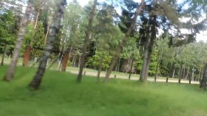 Приморск - Калининград Шиповский поворот Калининградская область
