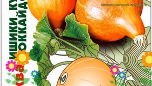 Тыква ишики кури Хоккайдо F1. Краткий обзор, описание характеристик cucurbita pepo Hokkajdo F1