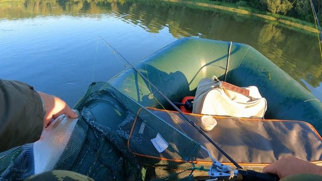 ЛЕЩ ПРИШЁЛ ! Это его поклёвки ! Рыбалка на леща с лодки. смотреть онлайн