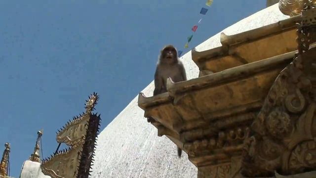 Непал Катманду 2014 смотреть онлайн