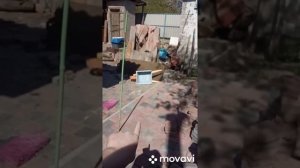 Как сделать солнечные часы