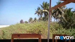 Южный Гоа, отель Majestic Beach Comforts. февраль  2019.