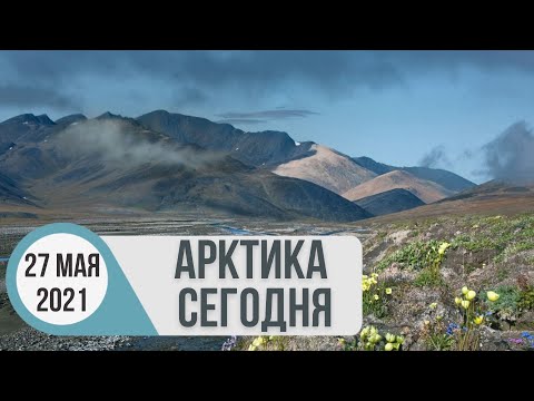 Арктика сегодня: судостроение, наука, охрана природы.