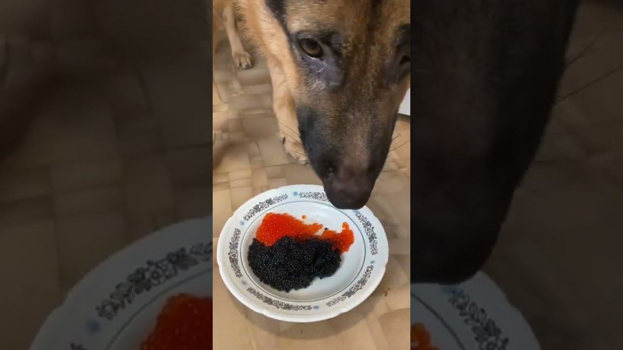 Это Хабаровск детка смотреть онлайн