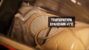 Топ 200 бизнес идей с минимальными вложениями для малого бизнеса 2020 - 2021