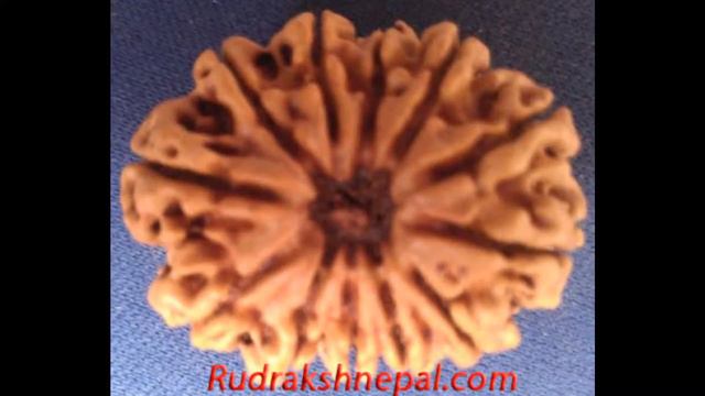 Lord Shiva Maha Mantra, Nepal Rudraksha смотреть онлайн