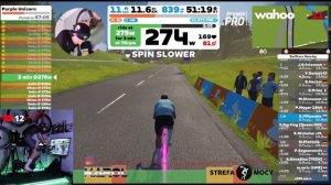 15z51 "My Road to 5 w/kg FTP" 🔥 Q+A / ZWIFT