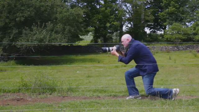 Introducing MOO! смотреть онлайн