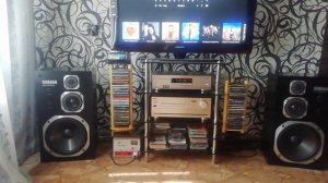 pioneer dv 989