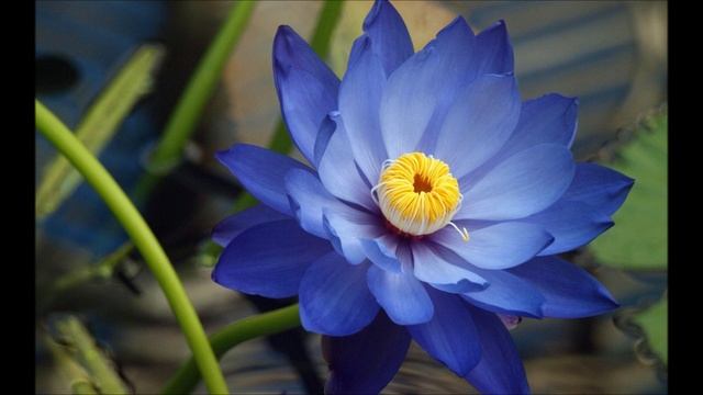 Молитва для развития интуиции! Молитва Джозефа Мэрфи! смотреть онлайн