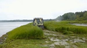 Вездеход BV 206 Лось в воде и на берегу