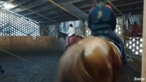 Рысь без седла на лошадях, Конный спорт, Езда рысью без седла на лошади, Январь 2020, Смайли, 717