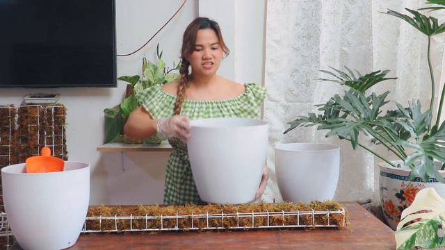 HOW TO MAKE A DIY : DECORATIVE MOSS PLANT POLE | Lovekye8 смотреть онлайн