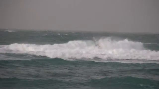 windsurfing in Bat galim 23. 12. 2008 смотреть онлайн