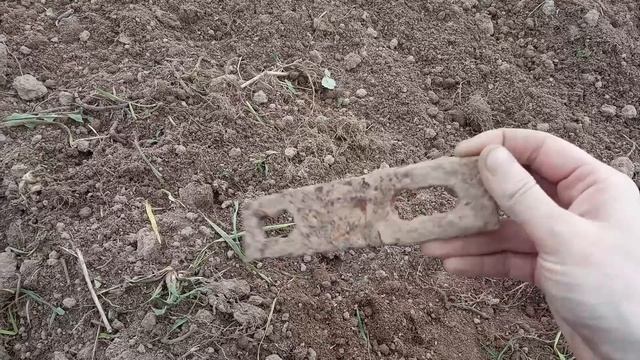 Большой провал и большая радость - приехала долгожданная техника-   копаю огород! Вопрос по малине.