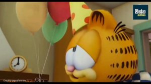 ගාෆිල්ඩ් කාටුන් එකේ අඳුරු රහස | Garfield Cartoon Dark Theory | garfield sinhala cartoon |fans theor