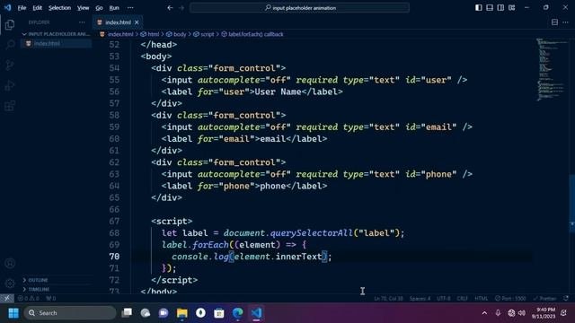 Interactive Input Field Placeholder Animation | HTML, CSS, JS