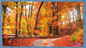 What Makes Something "Alive"? | Biology for Kids