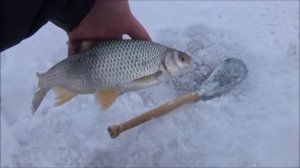 Зимняя рыбалка на Мостовом