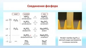 Фосфор и его соединения. Подготовка к ЕГЭ по химии.