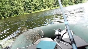 Рыбалка Ловля на живца озеро Великое 13 8 21г