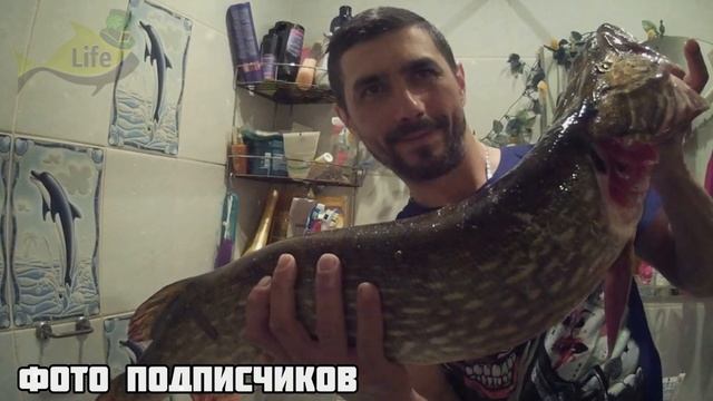 Секреты ловли щуки на водохранилищах поздней осенью. Как ловить щуку в октябре ноябре на водоемах?