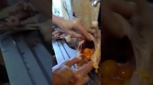 анатомия курицы как убрать внутринии органы у курицы часть вторая