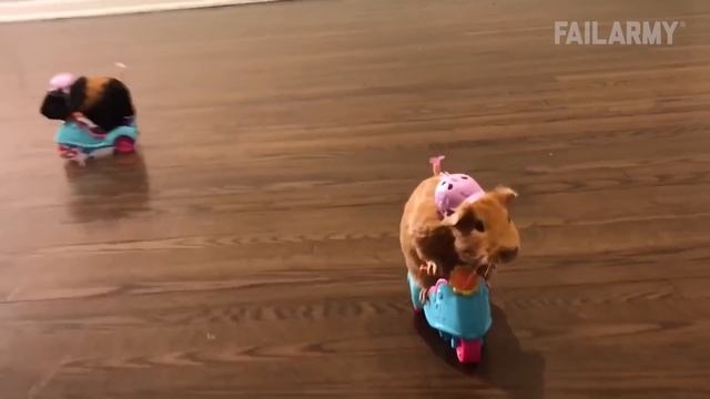 Приколы, неудачи Fail Army