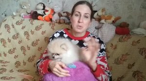 Как перевести щенка с корма на натуральную пищу, и наоборот.