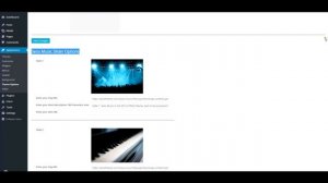 Wordpress Music Theme